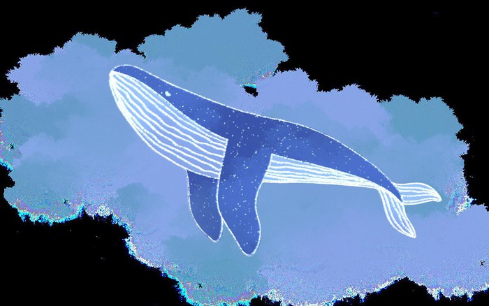 Cá Voi Biển Đại Dương Màu Xanh Da - Ảnh miễn phí trên Pixabay - Pixabay