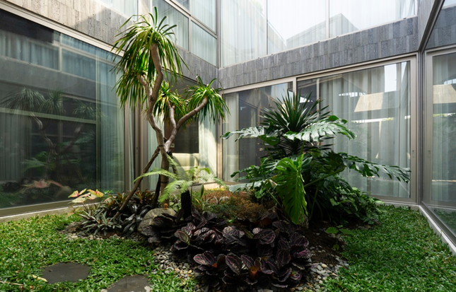 Phong cách nhiệt đới Á Đông kết hợp kiến trúc hiện đại trong căn biệt thự ven sông - Ảnh 8.