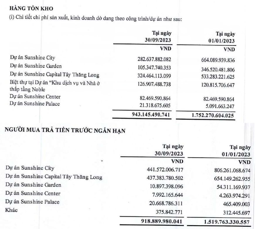 Sunshine Homes - Ảnh 1.