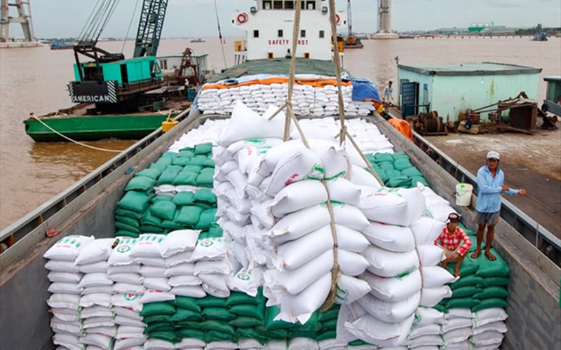 Xuất khẩu gạo 10 tháng thu về 4 tỷ USD - Ảnh 1.