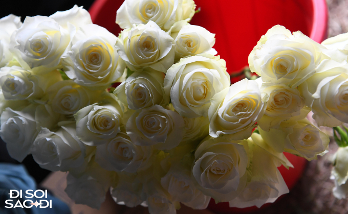 Đám cưới Đoàn Văn Hậu trang trí bằng hoa tươi nhập khẩu, cô dâu Doãn Hải My cử người xuống giám sát cắm hoa - Ảnh 5.