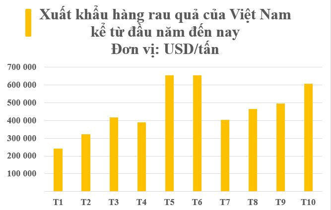 Hàng 'cây nhà lá vườn' của Việt Nam được Trung Quốc săn lùng gấp 3 lần kể từ đầu năm: Thu về hàng tỷ USD, đi đến đâu được ưa chuộng đến đó - Ảnh 2.