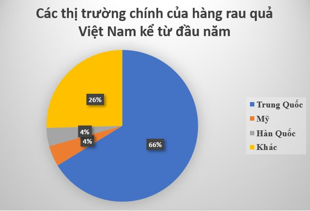Hàng 'cây nhà lá vườn' của Việt Nam được Trung Quốc săn lùng gấp 3 lần kể từ đầu năm: Thu về hàng tỷ USD, đi đến đâu được ưa chuộng đến đó - Ảnh 3.