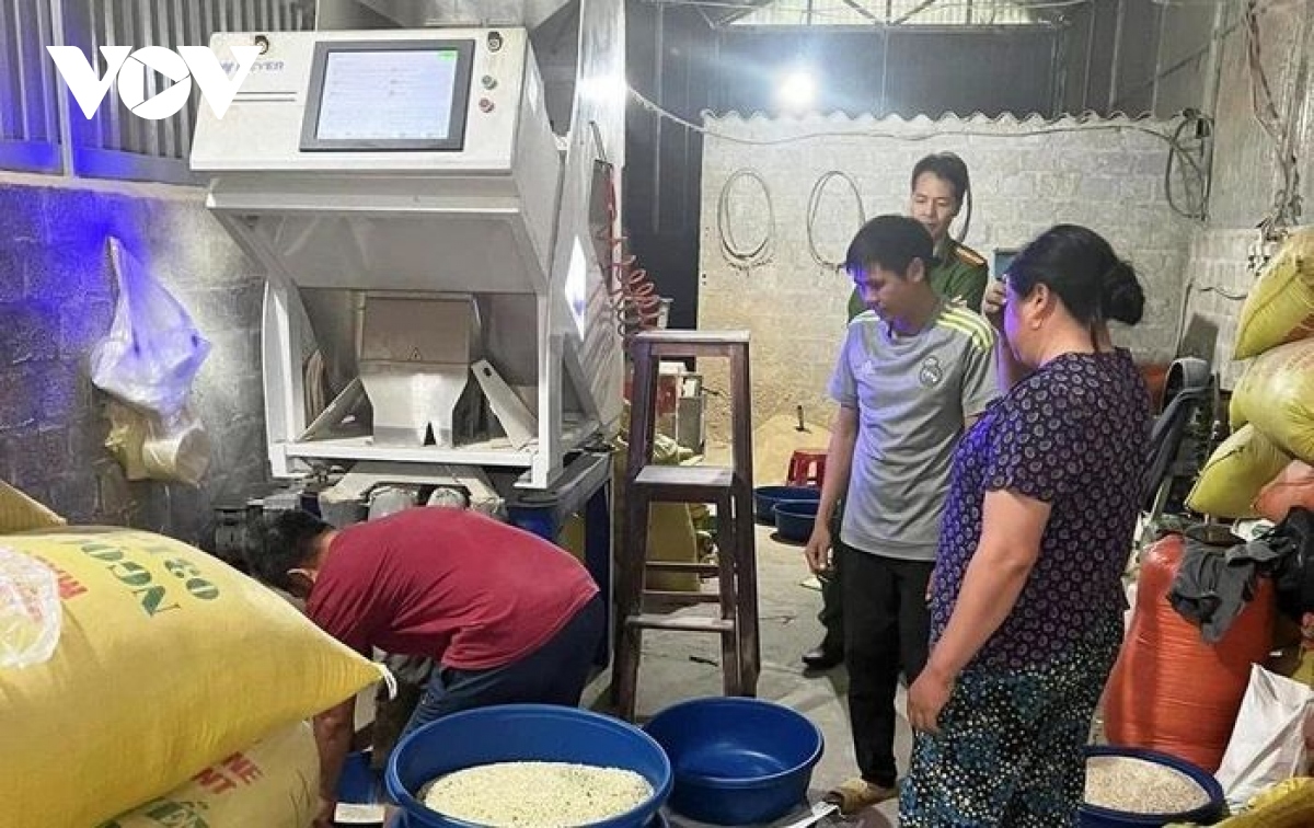 Lật tẩy chiêu trò hô biến loại gạo nổi tiếng nhất Lào Cai thành màu xanh - Ảnh 1.