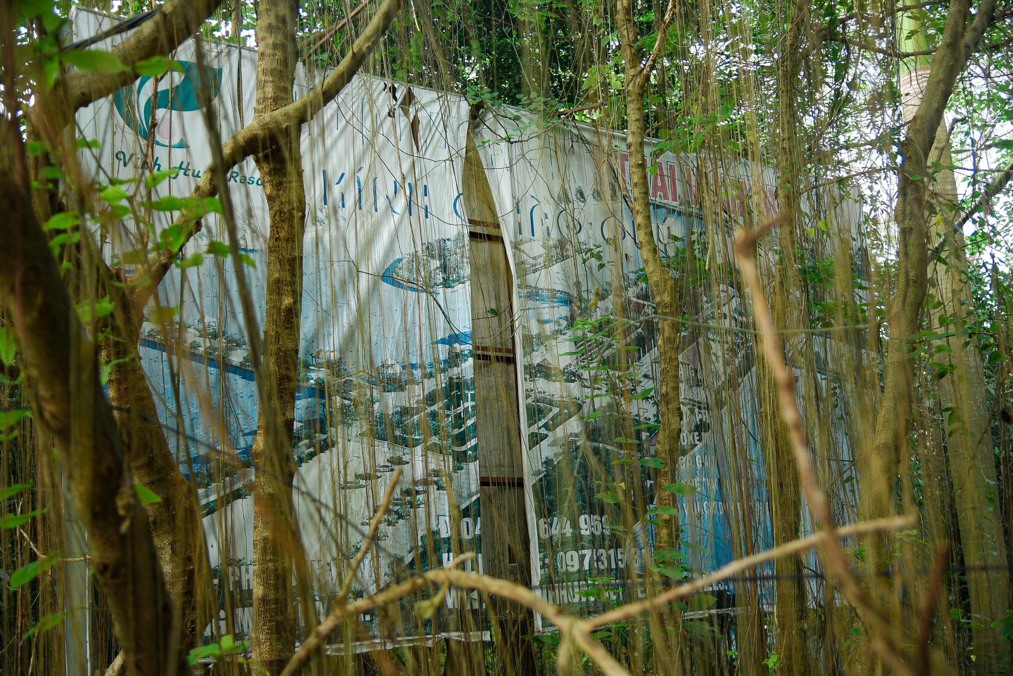 Khu sinh thái rộng hơn 15 ha ở quận Hoàng Mai bị bỏ hoang - Ảnh 4.