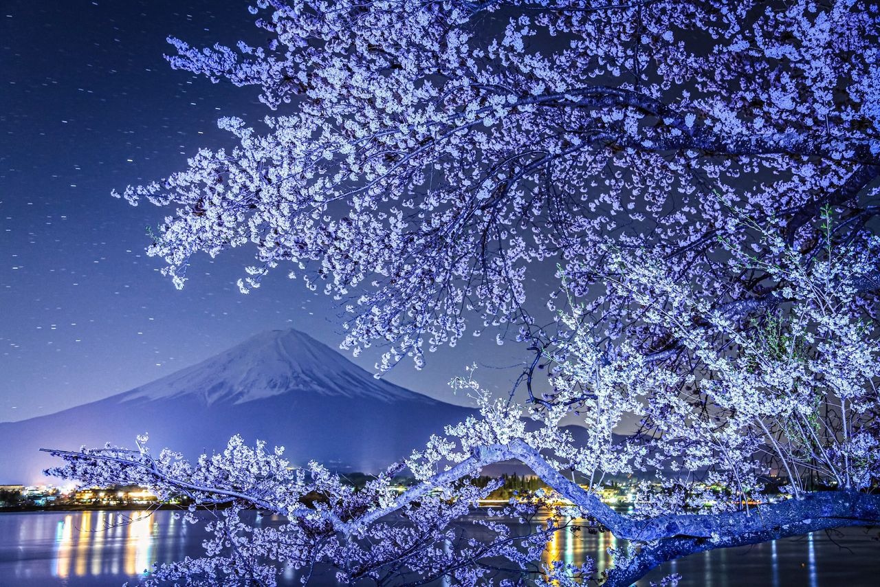 Từng phát ngán mỗi khi thấy núi Phú Sĩ, chàng thanh niên khiến cả thế giới ngỡ ngàng với những bức ảnh đẹp mê đắm về ngọn núi già của quê hương - Ảnh 12.