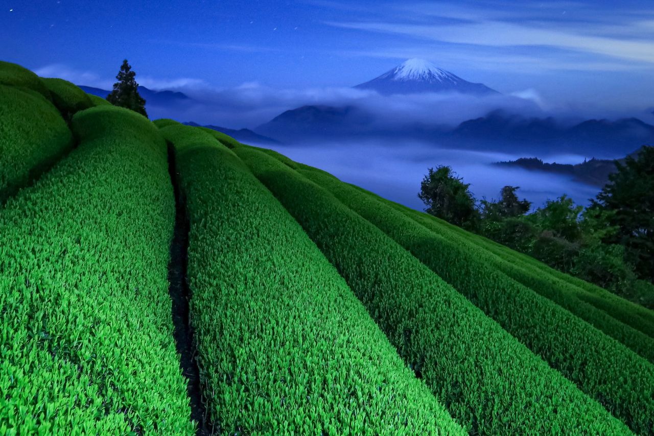 Từng phát ngán mỗi khi thấy núi Phú Sĩ, chàng thanh niên khiến cả thế giới ngỡ ngàng với những bức ảnh đẹp mê đắm về ngọn núi già của quê hương - Ảnh 10.