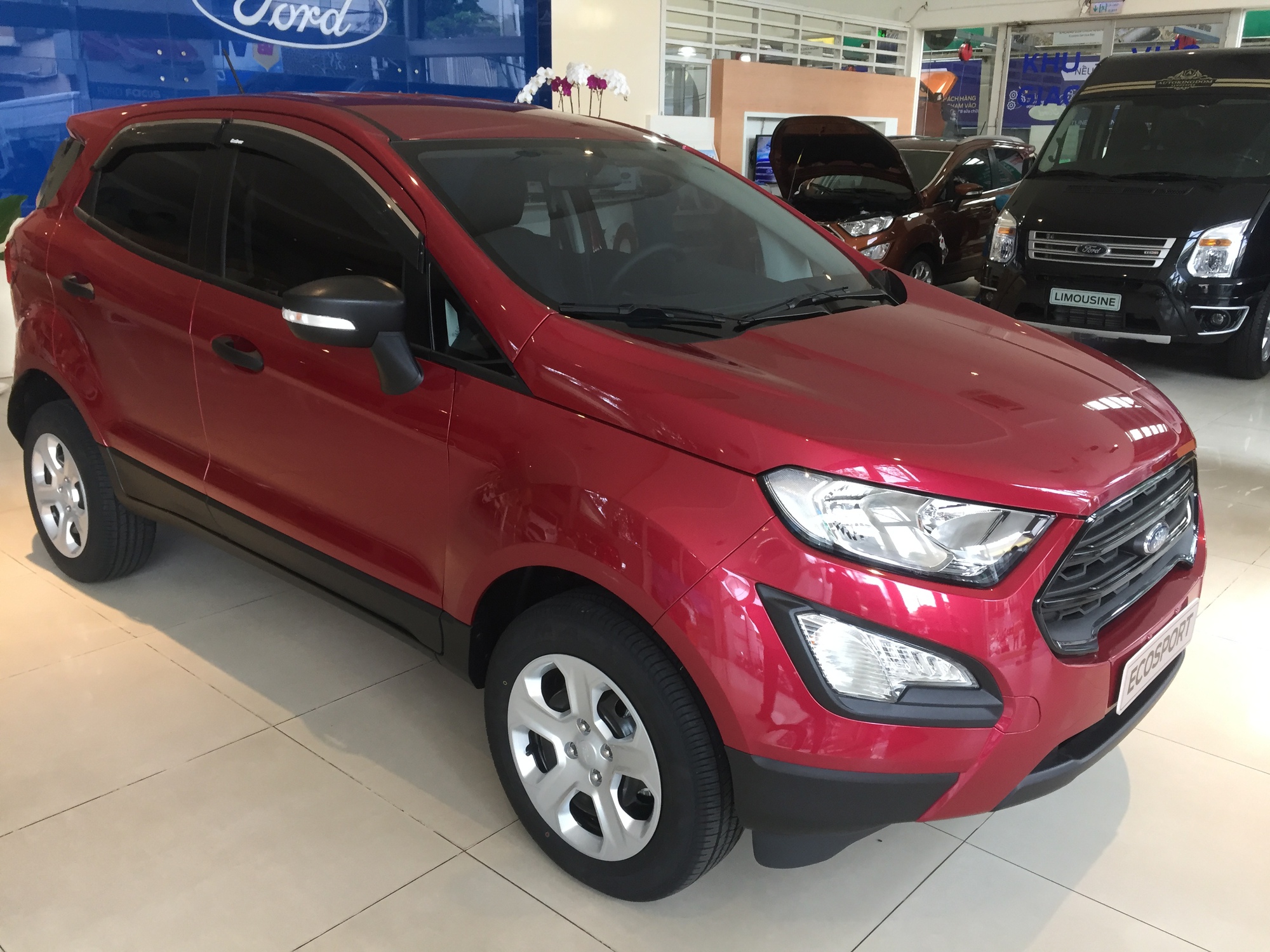 Vì sao nhà phân phối xe Ford ở Việt Nam muốn tăng vốn lên 1.000 tỉ đồng? - Ảnh 1.