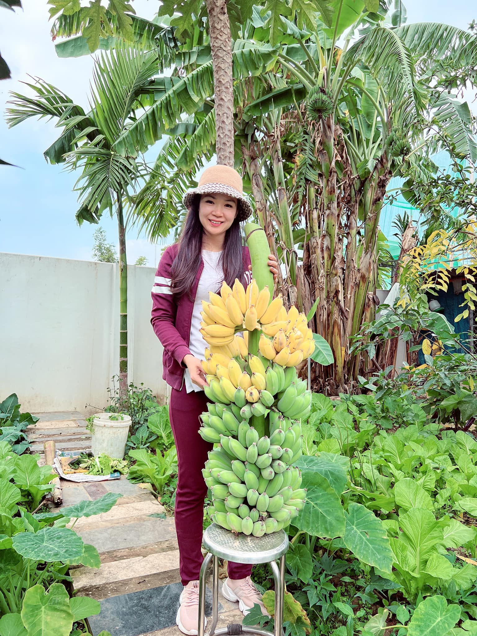 Khu vườn rộng 300m2 sum suê rau trái, mùa nào thức nấy, tươi tốt um tùm của mẹ đảm 4 con ở Quảng Ninh- Ảnh 16.