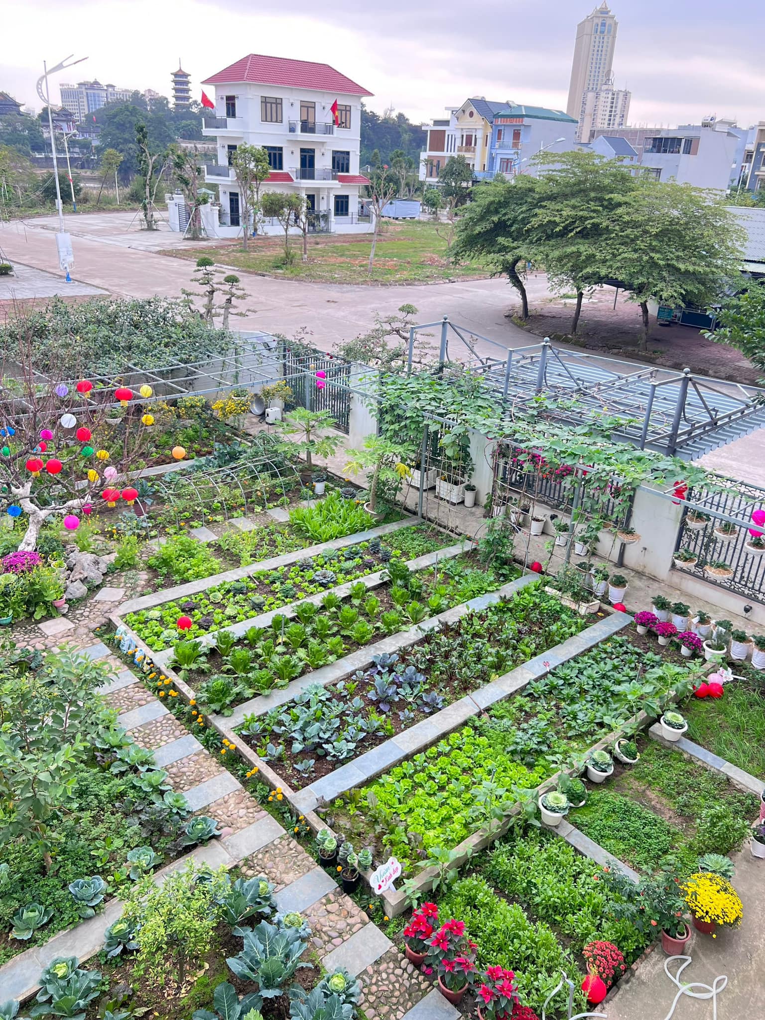 Khu vườn rộng 300m2 sum suê rau trái, mùa nào thức nấy, tươi tốt um tùm của mẹ đảm 4 con ở Quảng Ninh- Ảnh 2.