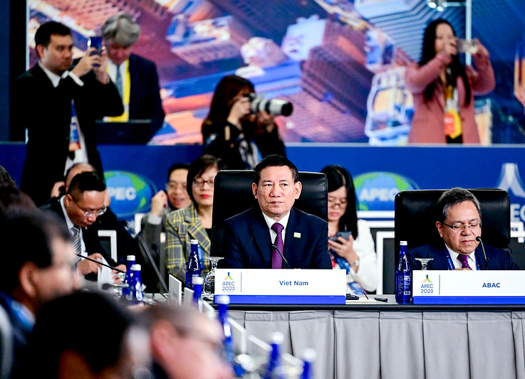 Việt Nam đề cao hợp tác quốc tế của APEC, giúp phục hồi tăng trưởng kinh tế - Ảnh 2.