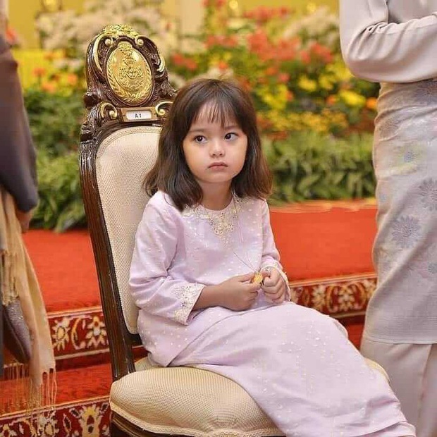 Tiểu công chúa Malaysia từng gây sốt MXH vì quá dễ thương, được nhận định chắc chắn thành mỹ nhân bây giờ ra sao?- Ảnh 5.