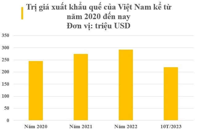 Việt Nam sở hữu 'báu vật' nông sản cực hiếm trên thế giới: Xuất khẩu 35% thị phần toàn cầu, thu về trăm triệu USD trong 10 tháng đầu năm - Ảnh 1.