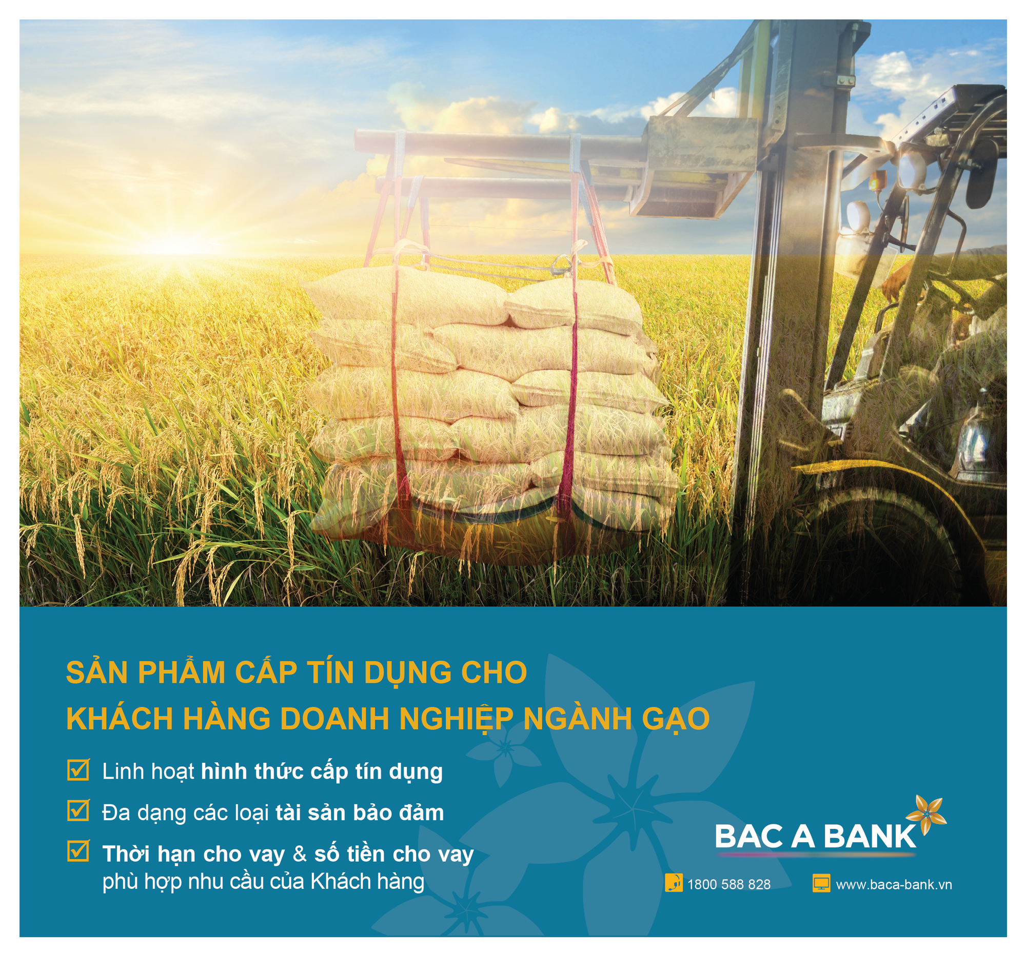 Doanh nghiệp ngành gạo đón trợ lực từ BAC A BANK - Ảnh 1.
