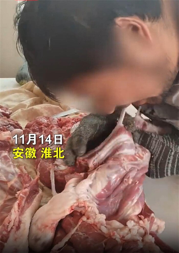 Dùng răng để lọc xương, cửa hàng thịt lợn gây tranh cãi trên mạng xã hội - Ảnh 1.