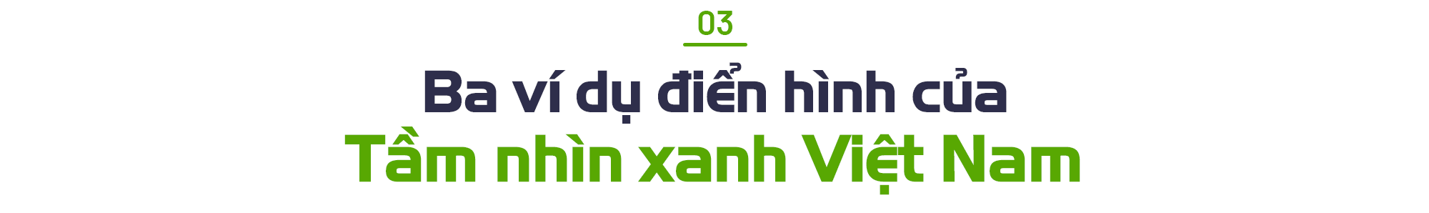 TS Trần Đình Thiên: Đất nước cần những thách thức lớn như NET ZERO 2050 để huy động trí tuệ của cả dân tộc cùng vào cuộc! - Ảnh 8.