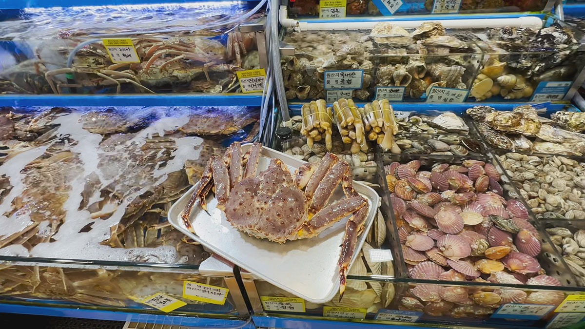 Cô gái Việt du lịch Hàn Quốc kể &quot;kiếp nạn&quot; nhớ đời khi đi ăn hải sản ở chợ nổi tiếng nhất xứ kim chi- Ảnh 1.