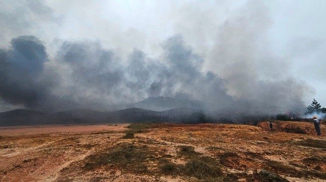 Cháy trang trại sản xuất nấm lớn nhất tỉnh Lâm Đồng - Ảnh 2.