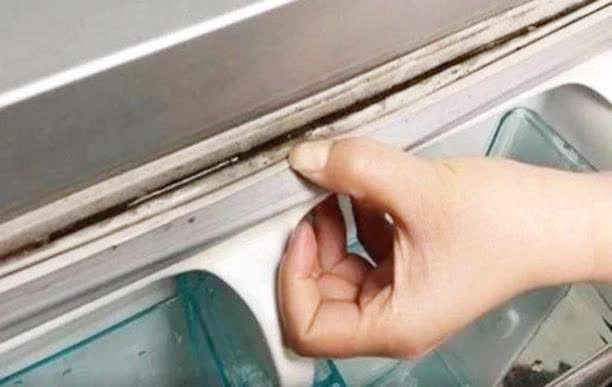 Bộ phận ngay cửa tủ lạnh nhưng ít ai để ý: Hỏng hóc vừa mất vệ sinh, vừa gây tốn điện - Ảnh 3.