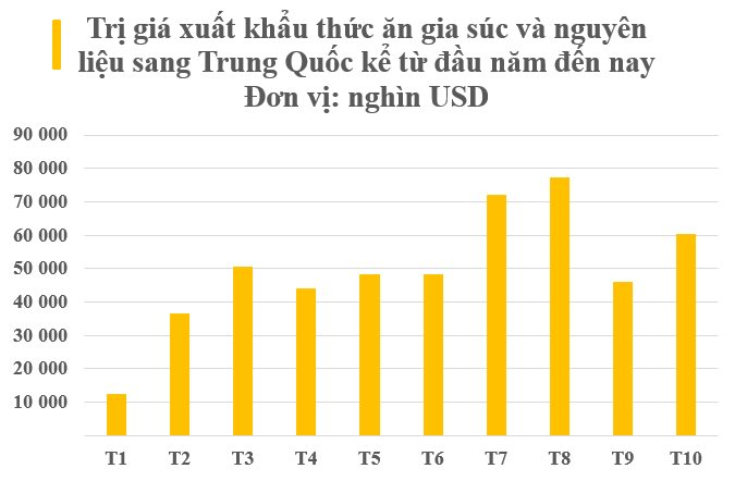 Một mặt hàng của Việt Nam đang ‘hốt bạc’ từ Trung Quốc: Trở thành vị cứu tinh khiến láng giềng phụ thuộc, gia nhập câu lạc bộ tỷ đô sau 10 tháng - Ảnh 3.