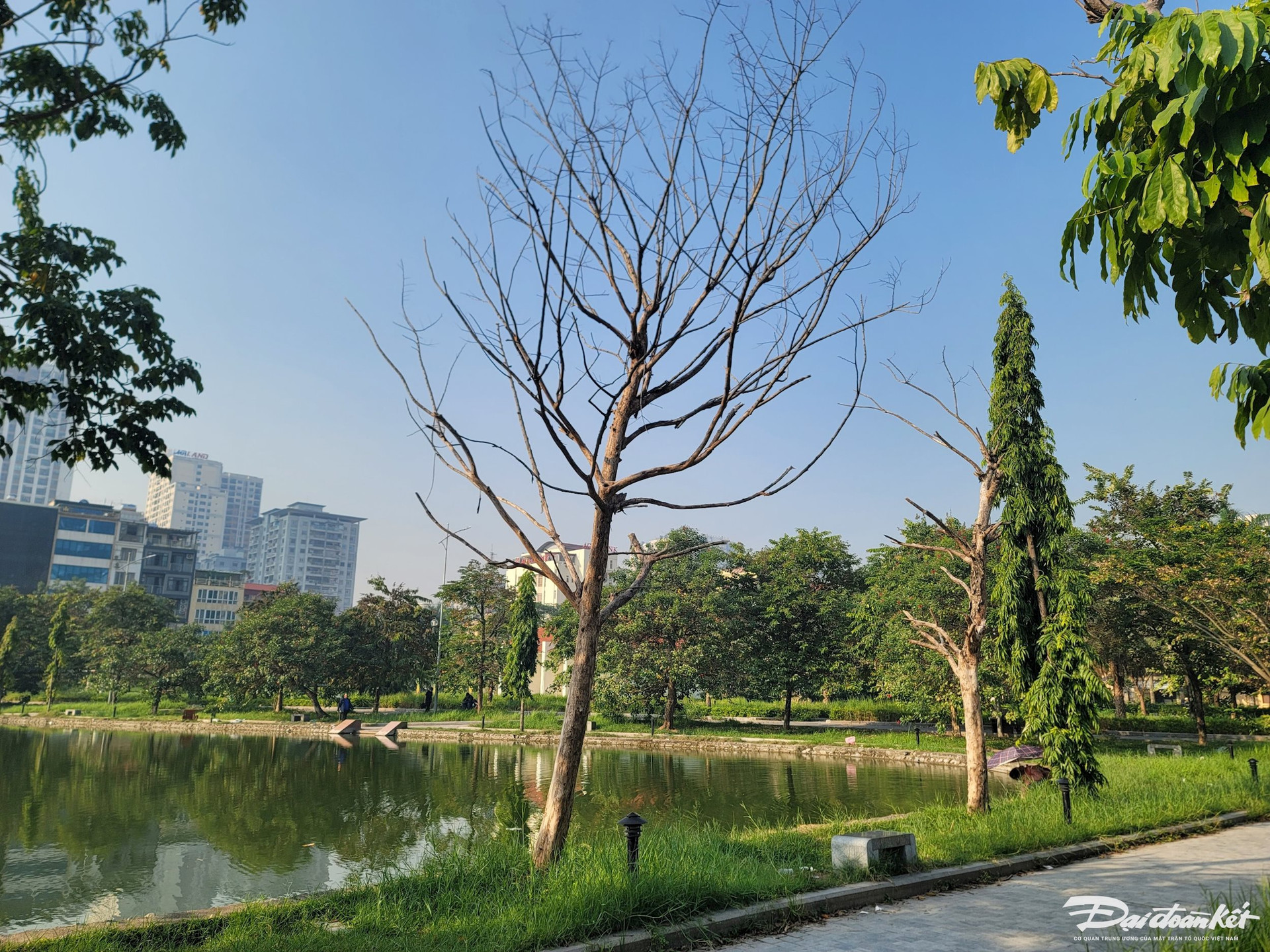 Hà Nội: Công viên hồ điều hoà ban đêm tối om, cỏ mọc um tùm, rác thải bẩn thỉu - Ảnh 7.