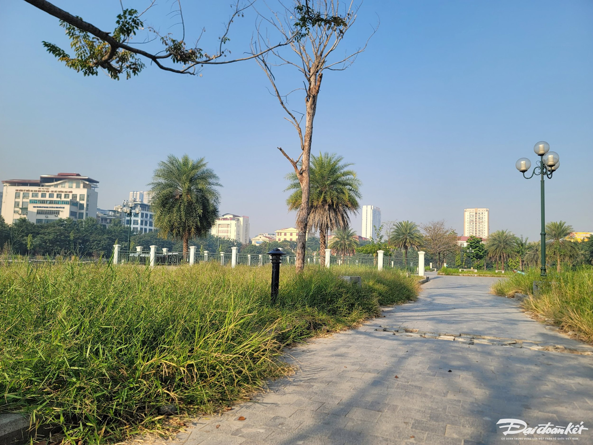 Hà Nội: Công viên hồ điều hoà ban đêm tối om, cỏ mọc um tùm, rác thải bẩn thỉu - Ảnh 4.