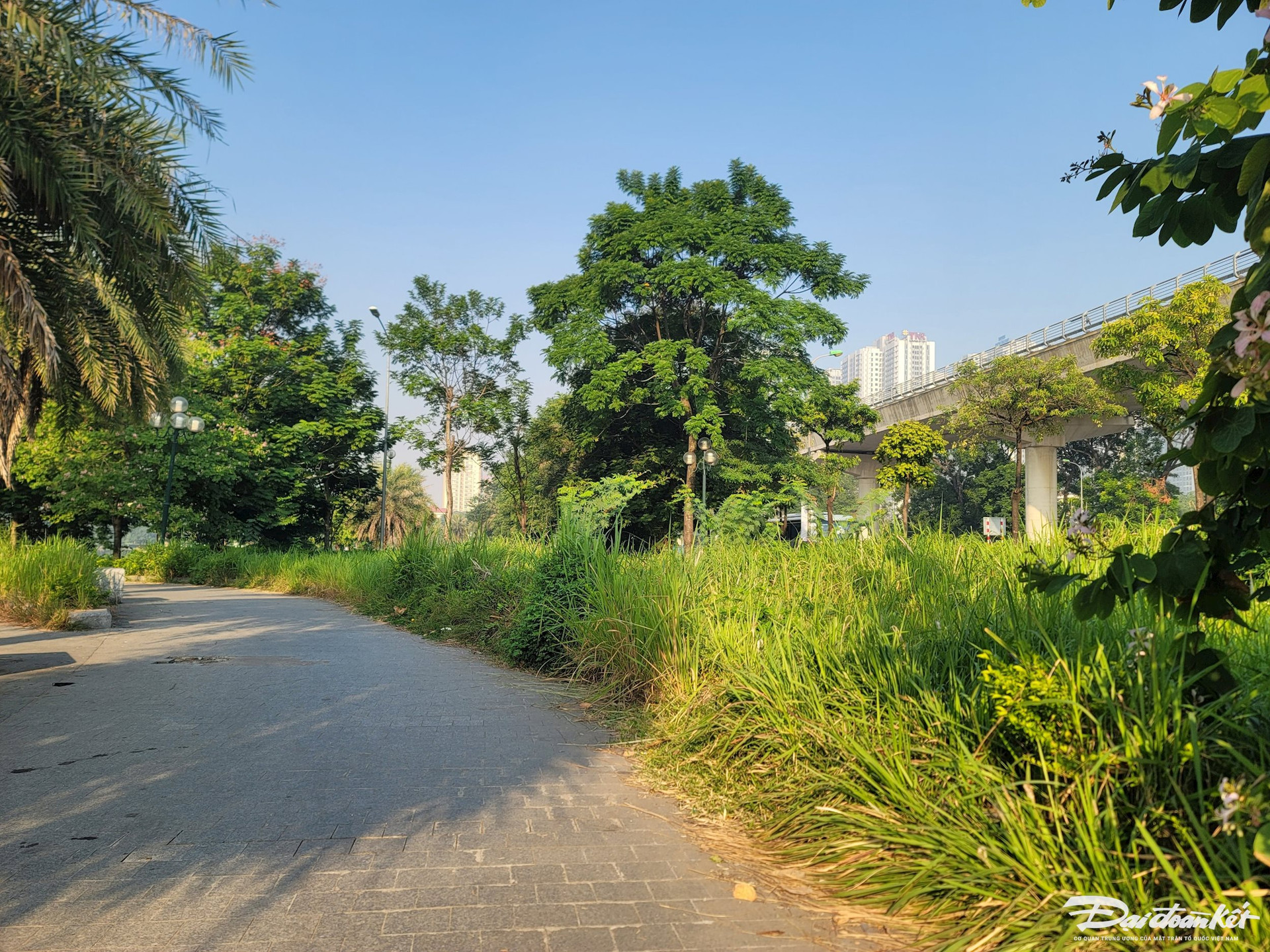 Hà Nội: Công viên hồ điều hoà ban đêm tối om, cỏ mọc um tùm, rác thải bẩn thỉu - Ảnh 3.