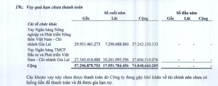 Hoàng Kim Tây Nguyên - &quot;Đại gia phố núi&quot; từng là thương hiệu khách sạn, tiệc cưới uy tín ở Gia Lai sắp bị ngân hàng bán đấu giá tài sản - Ảnh 5.