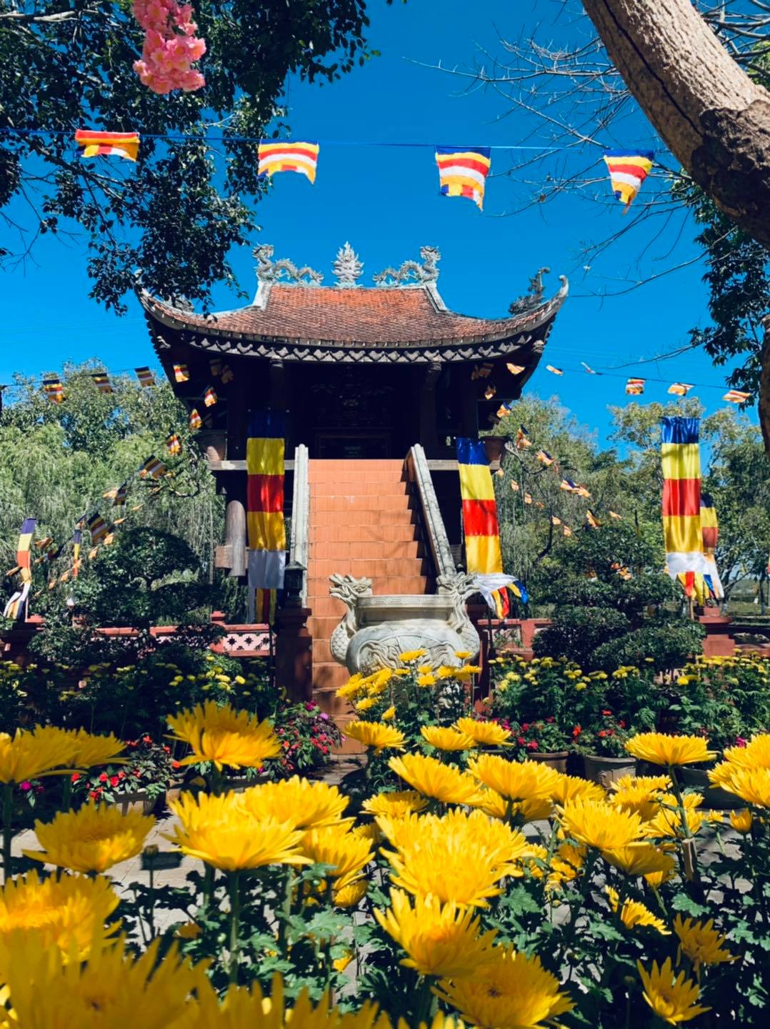 Hoàng Kim Tây Nguyên - &quot;Đại gia phố núi&quot; từng là thương hiệu khách sạn, tiệc cưới uy tín ở Gia Lai sắp bị ngân hàng bán đấu giá tài sản - Ảnh 2.