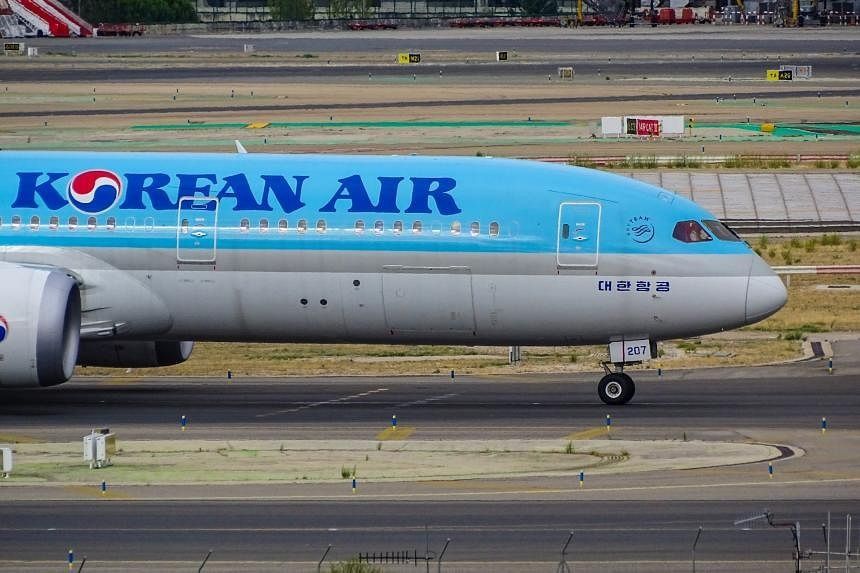 Hàn Quốc: Sử dụng ma túy đá, hành khách cố gắng mở cửa thoát hiểm máy bay trên không- Ảnh 1.