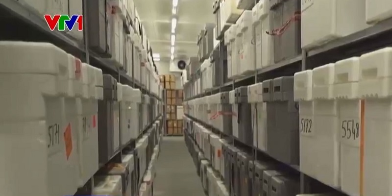 Khám phá kho lưu trữ lớn nhất thế giới về lõi băng - Ảnh 1.