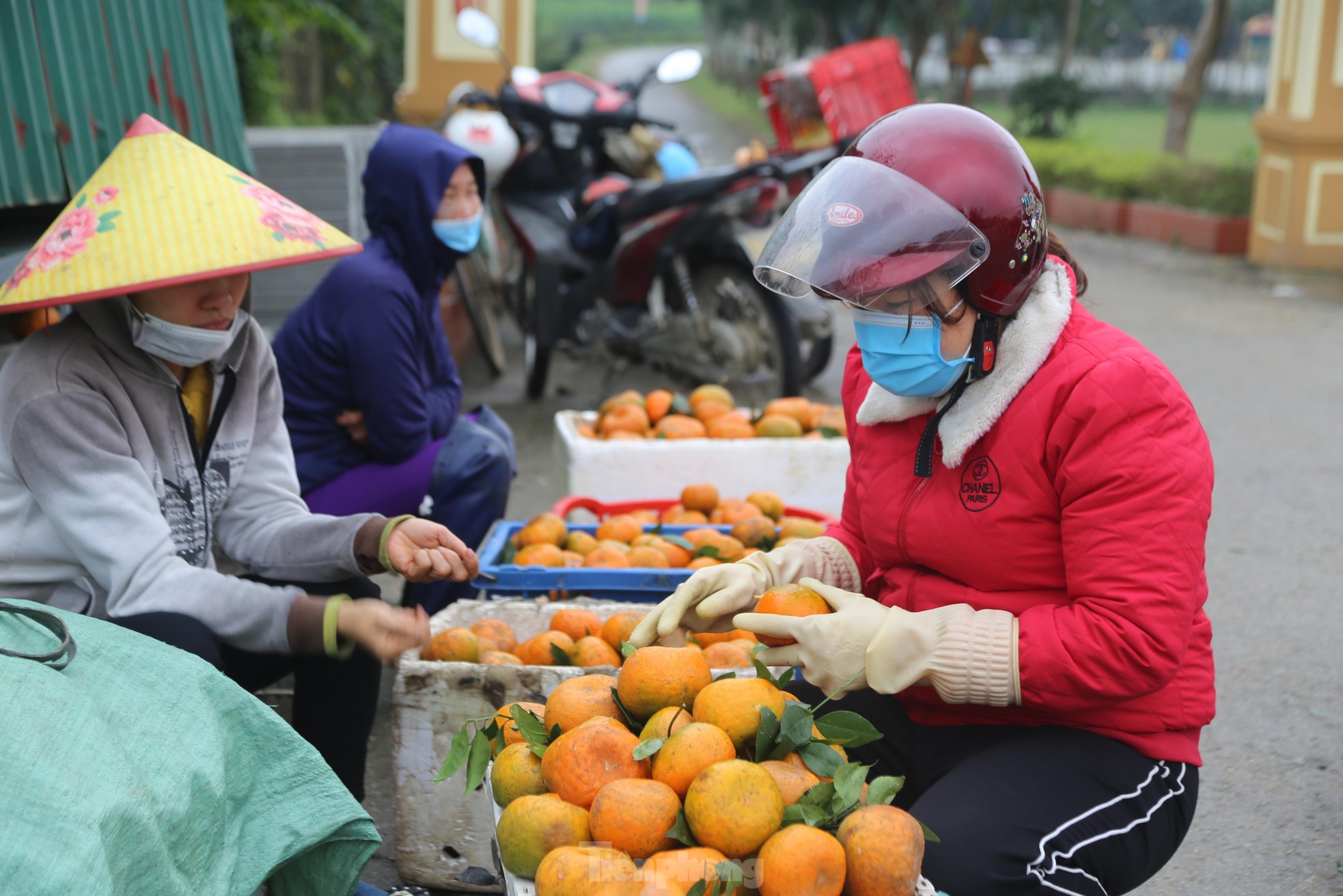 Thủ phủ cam Hà Tĩnh vào vụ thu hoạch, nông dân 'đếm quả tính tiền' - Ảnh 13.