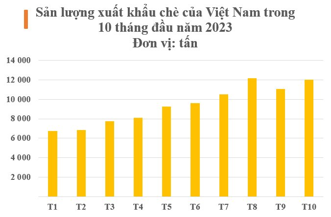 Việt Nam sở hữu ‘vàng xanh’ quý hiếm chỉ xuất hiện tại 1/6 các quốc gia trên thế giới: Thu về hàng trăm triệu USD kể từ đầu năm, các cường quốc đua nhau săn lùng với giá đắt đỏ - Ảnh 2.