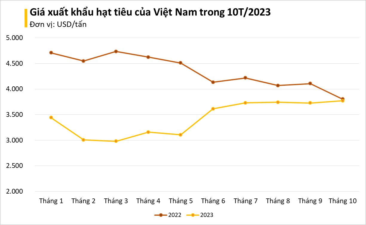 Việt Nam sở hữu 'vàng đen' được Ấn Độ liên tục săn lùng: xuất khẩu tăng đột biến hơn 500%, Việt Nam nắm 'trùm' sản lượng thế giới - Ảnh 1.