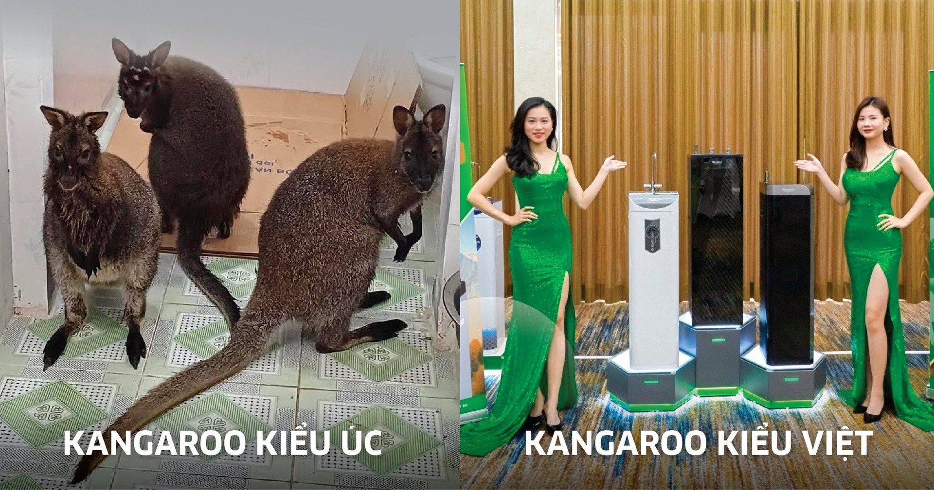 Chi tiền chăm sóc 4 chú kangaroo bị 'lạc', Tập đoàn Kangaroo tranh thủ quảng cáo gây bão trên fanpage, khoe nhà máy lọc nước 6.000 tỷ đồng lớn nhất Việt Nam - Ảnh 3.