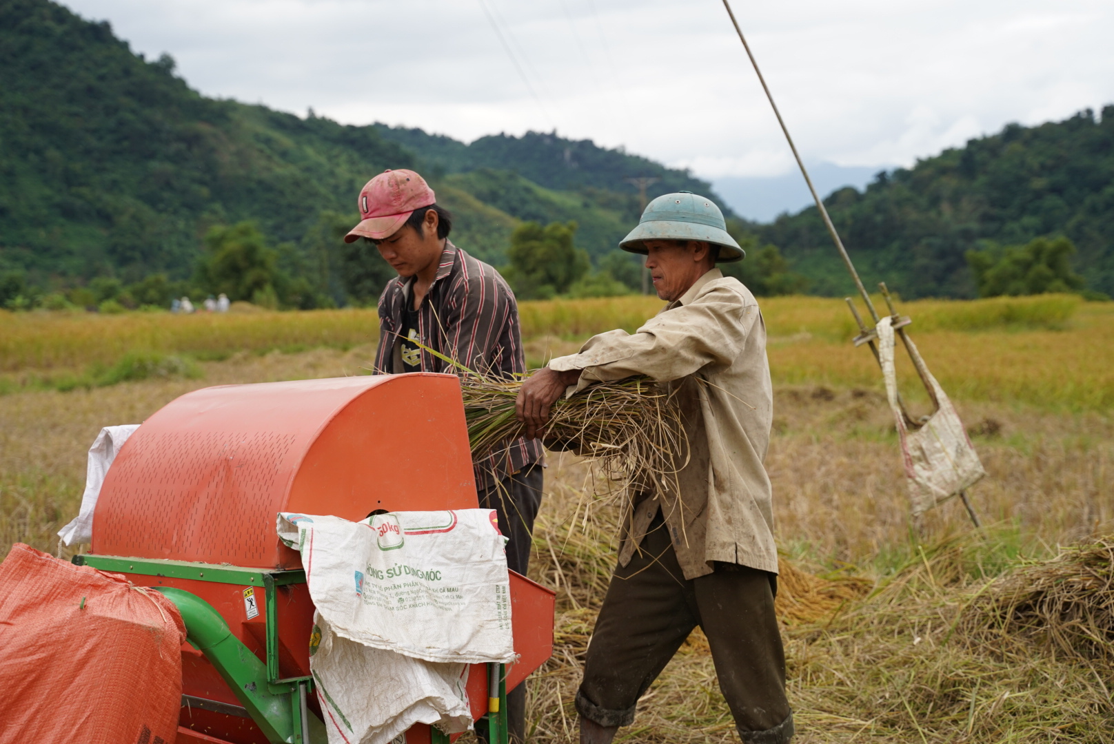 Người truyền cảm hứng làm nông nghiệp ứng phó biến đổi khí hậu ở xã bản vùng cao, đưa cây lúa địa phương thành &quot;đặc sản 3 sao&quot; nức tiếng - Ảnh 9.