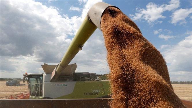 Ukraine tự mở hành lang mới đưa ngũ cốc ra thế giới bất chấp rủi ro ở Biển Đen - Ảnh 1.