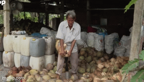 Dị nhân miền Tây bị mù vẫn dùng tay không lột vỏ 200 trái dừa/ngày, ghi nhớ được 1.000 số điện thoại  - Ảnh 1.
