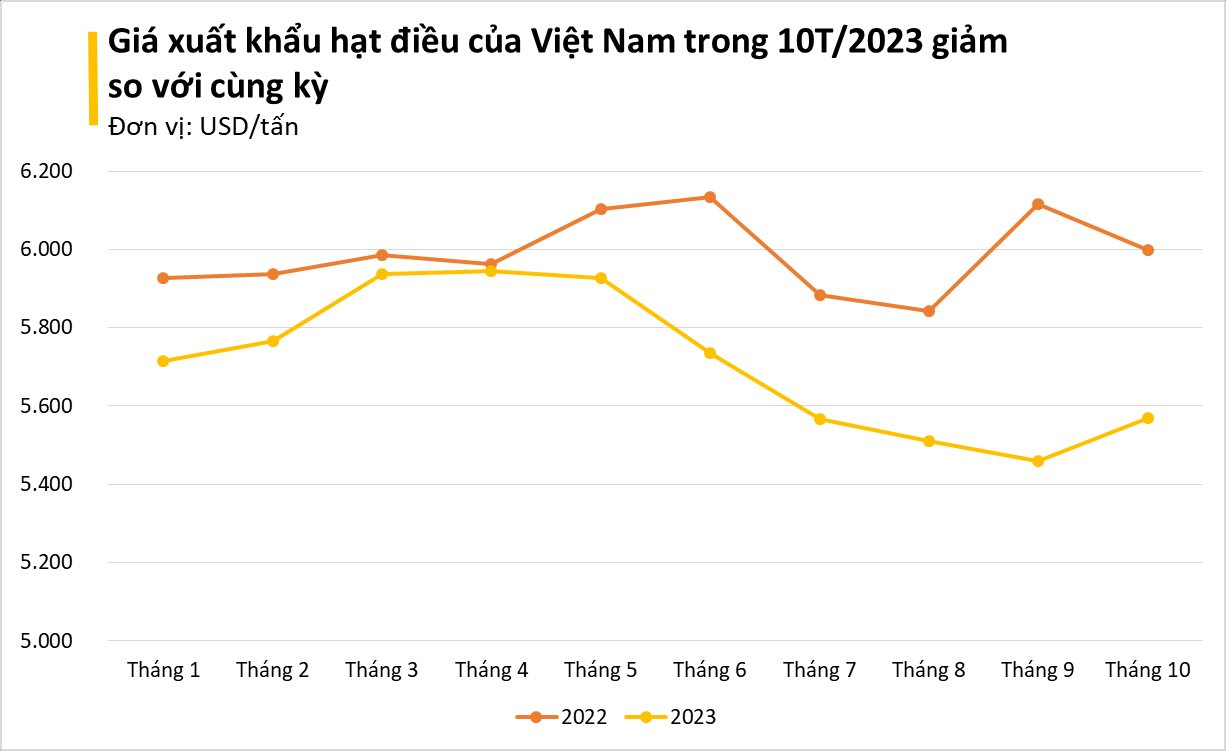 Một loại 'hạt vàng' của Việt Nam khiến Trung Quốc mê hơn cả hàng nội địa dù giá đắt đỏ: xuất khẩu tăng đột biến trong tháng 10, Việt Nam 'độc bá' thị trường - Ảnh 1.