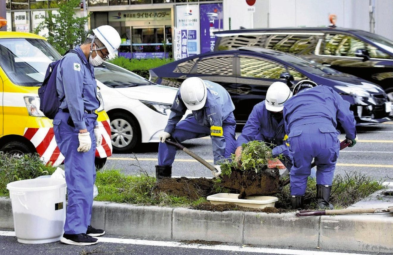 Độc lạ Nhật Bản: Sắp tổ chức lễ bổ quả dưa hấu được giải cứu từ giải phân cách, vé vào cửa hơn 80 nghìn đồng - Ảnh 1.