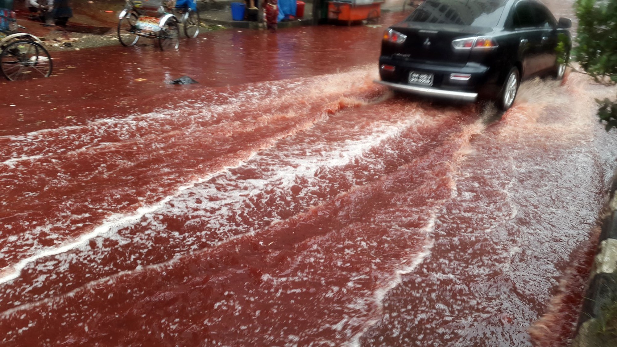 Bí ẩn về những cơn &quot;mưa máu&quot; xuất hiện liên tục tại Ấn Độ - Ảnh 1.