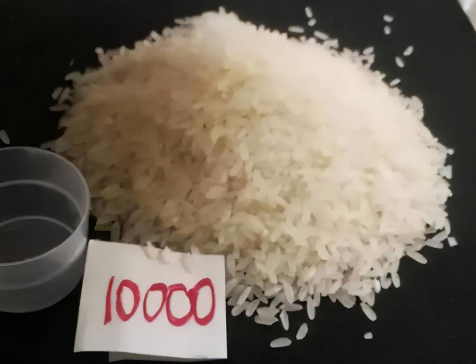 Giáo viên giao bài tập bắt nộp 10.000 hạt gạo khiến phụ huynh bức xúc: Cả nhà ngồi đếm tới đêm không xong - Ảnh 1.