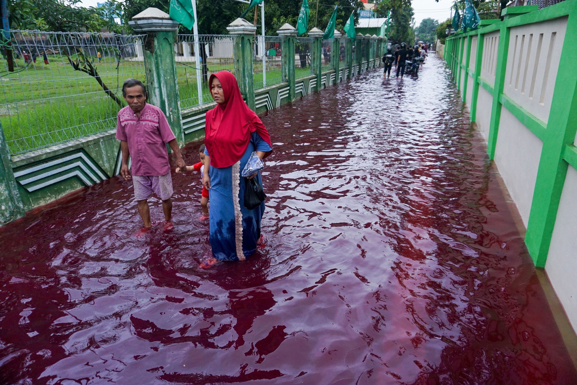 Bí ẩn về những cơn &quot;mưa máu&quot; xuất hiện liên tục tại Ấn Độ - Ảnh 2.