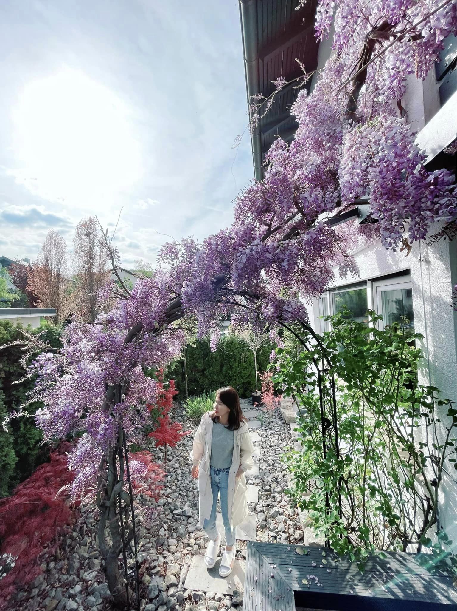Mẹ Việt ở Đức xây dựng vườn hoa rộng 300m2 để tạo không gian gắn kết gia đình