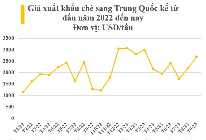 &quot;Vàng xanh&quot; của Việt Nam bất ngờ được Trung Quốc gom hàng với giá đắt đỏ kỷ lục, thu về hàng trăm triệu USD trong 9 tháng đầu năm - Ảnh 3.