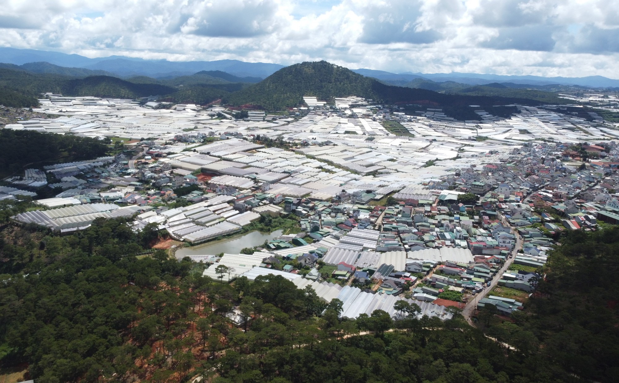 Lâm Đồng đề nghị gói vay ưu đãi 4.800 tỉ cho đề án di dời nhà kính khỏi nội ô Đà Lạt - Ảnh 3.