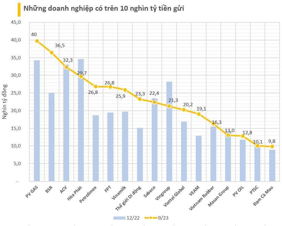 Những 'ông vua' tiền trên sàn chứng khoán: Họ dầu khí nắm lượng tiền lớn - vay nợ 'tí hon', Vingroup, Hòa Phát và Masan giảm tiền mặt - tăng vay nợ - Ảnh 2.