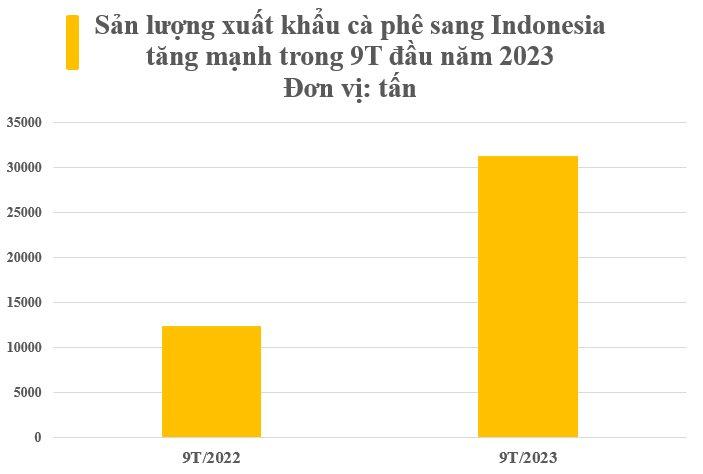 Loại hạt 'vàng trên cây' của Việt Nam làm mưa làm gió tại một quốc gia khu vực: Xuất khẩu tăng mạnh 3 chữ số, nước ta có sản lượng gấp đôi so với láng giềng - Ảnh 3.