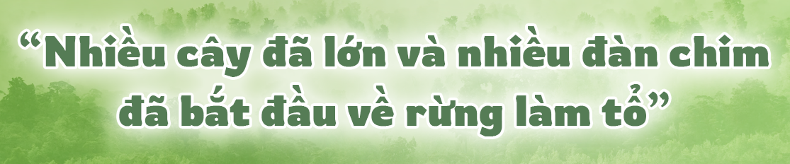 Chàng trai vừa làm &quot;BTV xoàng&quot; ở Hà Nội vừa trồng &quot;triệu cây xanh&quot;: Bố mắng sa sả; nhìn cây mà khóc! - Ảnh 12.