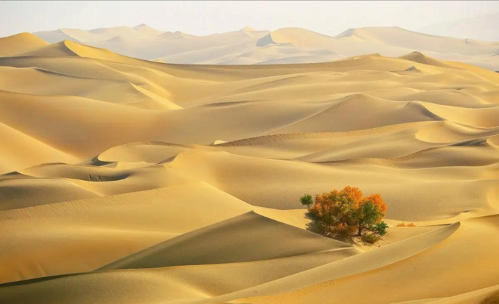 Cách Trung Quốc phủ xanh sa mạc 'Biển tử thần' rộng 330.000km2 - Ảnh 1.